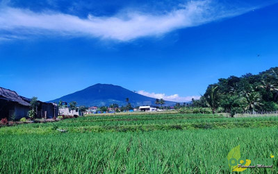 uploads/news/2025/05/dukung-pertanian-lanjutan-brin-823692bce27d879_400.jpg