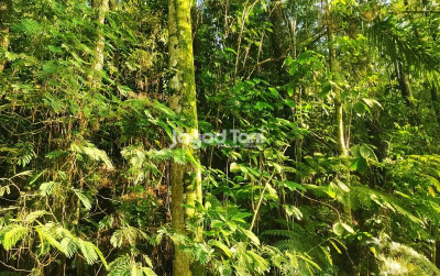uploads/news/2025/05/indonesia-gaungkanvkebijakan-strategis-sektor-2627752ba92bebf_400.jpg