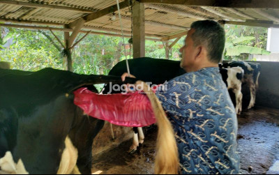 uploads/news/2025/05/jaga-kualitas-kementan-buka-91082ce21c89bb5_400.jpg