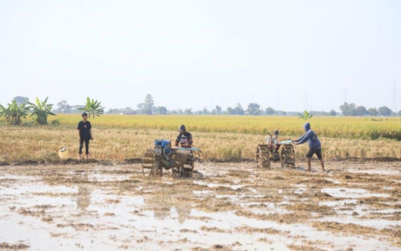 Kejar Swasembada, Indramayu Dan Subang Mulai Tanam Kembali uploads/news/2025/05/kejar-swasembada-indramayu-dan-973712f2afe9d11.jpeg