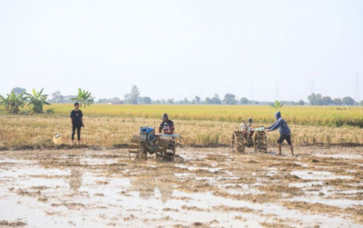 uploads/news/2025/05/kejar-swasembada-indramayu-dan-973712f2afe9d11_400.jpeg