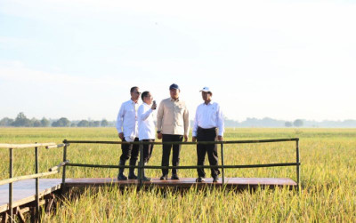 uploads/news/2025/05/kejar-swasembada-kementan-tanam-154445a215f905c_400.jpeg