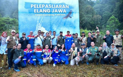 uploads/news/2025/05/lepasliarkan-elang-jawa-menhut-382687f20958291_400.jpeg