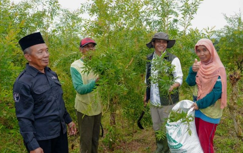 Harga Daun Minyak Kayu Putih Anjlok, Menhut Kunjungi KTH Boyolali uploads/news/2025/05/menhut-dengar-curhatan-kth-841262e1d7fce53.jpeg