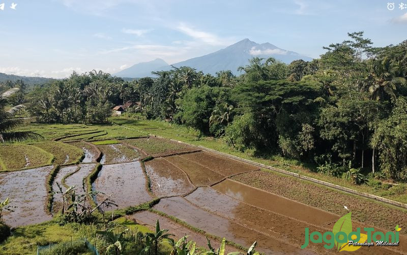 uploads/news/2025/05/miliki-balai-rahasia-wamentan-78528fcaa33e9e1.jpg
