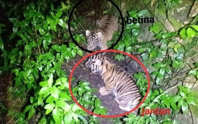 uploads/news/2025/05/nunuk-ninik-harapan-baru-986641fbac4965e_400.jpg