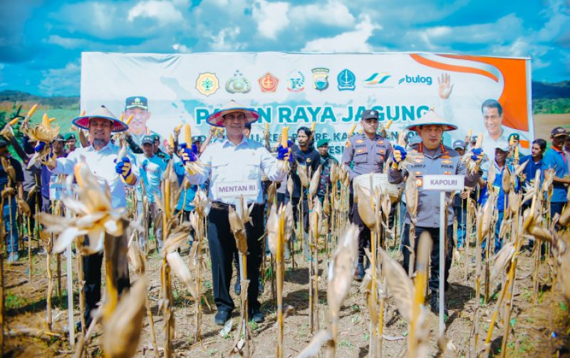 Pemerintah Siapkan Dana 5Triliun Bagi Petani Jagung uploads/news/2025/05/pemerintah-siapkan-dana-5triliun-805540a2a883804.jpeg