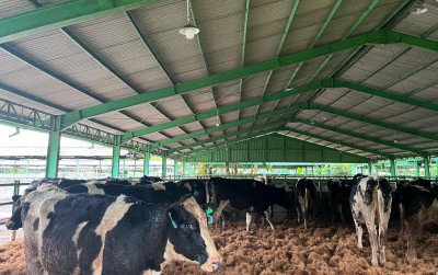 uploads/news/2025/05/perkuat-industri-sapi-perah--92058db1eb30b43_400.jpeg