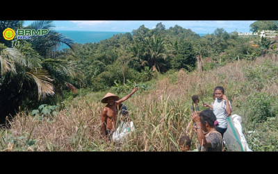 uploads/news/2025/05/petani-biak-numfor-berjuang-6334315212f089a_400.png