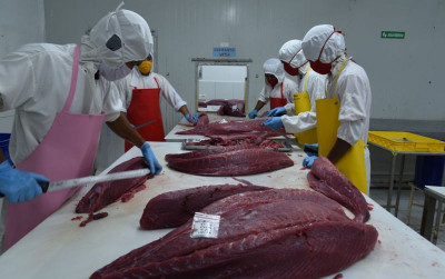 uploads/news/2025/05/produk-tuna-ramah-lingkungan-42428c532054ac1_400.jpeg