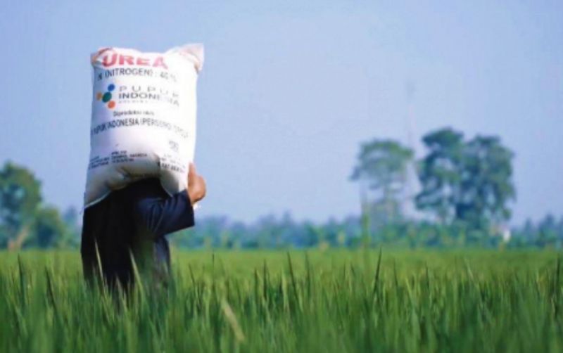 uploads/news/2025/05/reformasi-pupuk-subsidi-kunci-75233698b6741a9.jpg