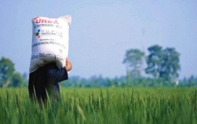 uploads/news/2025/05/reformasi-pupuk-subsidi-kunci-75233698b6741a9_400.jpg