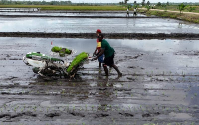 uploads/news/2025/05/rice-transplanter-inovasi-peningkatan-6251196d20aea0f_400.jpg
