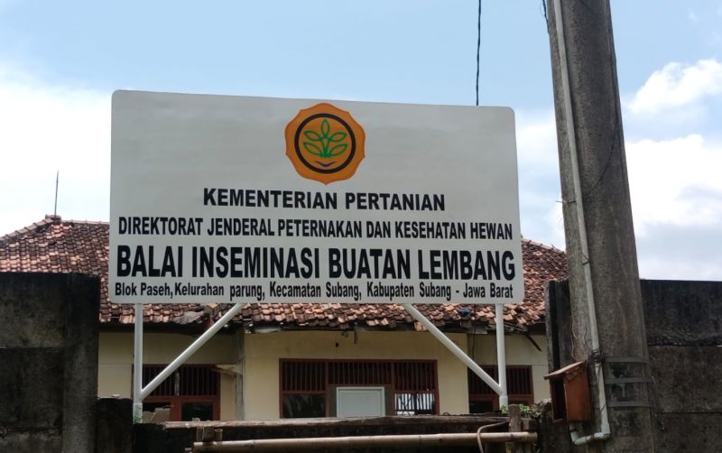 Subang Jadi Lokasi Produksi Bibit Ternak Unggul uploads/news/2025/05/subang-jadi-lokasi-produksi-75934b543dca392.jpeg