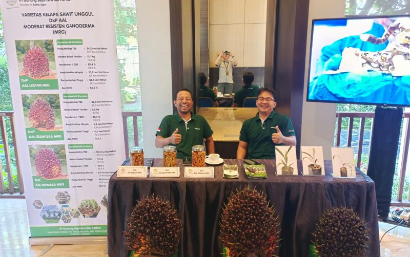 Tingkatkan Produktivitas Dengan Varietas Baru Sawit Dan Kakao uploads/news/2025/05/tingkatkan-produktivitas-dengan-varietas-56635c8f4c9a416.jpg
