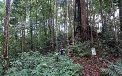 uploads/news/2025/06/-penemuan-spesies-baru-di-217670482f2dedb_400.jpg