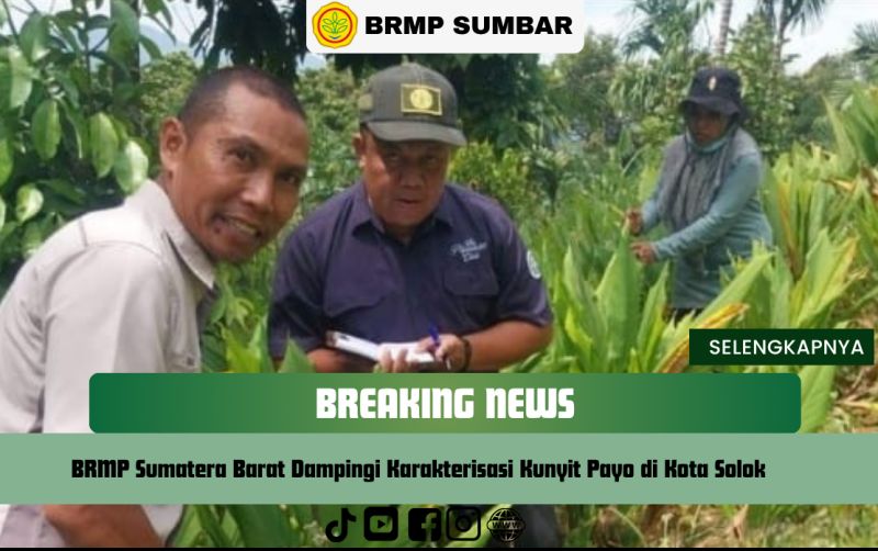 uploads/news/2025/06/brmp-sumbar-dampingi-karakterisasi-4525463ca63b6a6.png