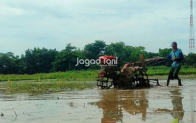uploads/news/2025/06/hilirasasi-kunci-transformasi-pertanian-594562cead5ccd2_400.jpg