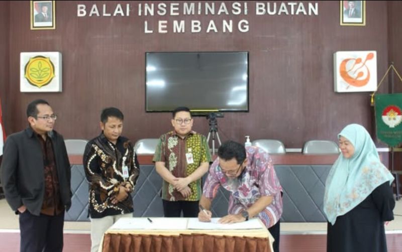 Kementan Dan Unhas Sepakat Kembangkan Kuda Nasional uploads/news/2025/06/kementan-dan-unhas-sepakat-71065505104a1aa.jpg
