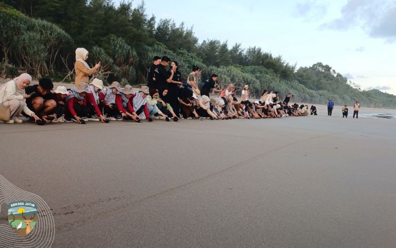 Konservasi Penyu Lekang, Pelepasliarkan Tukik di Malang uploads/news/2025/06/konservasi-penyu-lekang-pelepasliarkan-40358c796171067.jpg