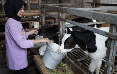 uploads/news/2025/06/nestle-indonesia-dorong-inovasi-6379219c59ac42a_400.jpeg