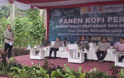uploads/news/2025/06/panen-perdana-kopi-sleman--120509633bdc271_400.jpeg
