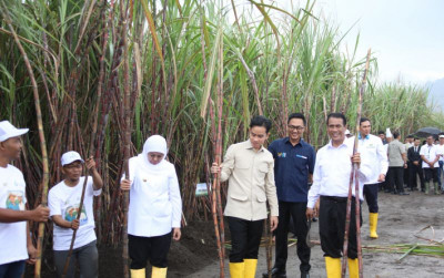 uploads/news/2025/06/pemerintah-dukung-petani-demi-683529e044ea0ed_400.jpeg