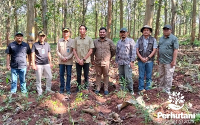 uploads/news/2025/06/perhutani-kembangkan-budidaya-jahe-47121d1898da11c_400.jpg