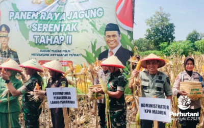 uploads/news/2025/06/perhutani-kph-madiun-gelar-696293a5a5d9426_400.jpg