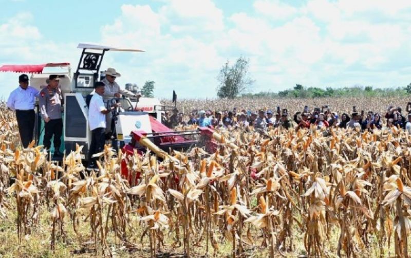 Prabowo Pimpin Panen Raya Jagung 344ribu Hektare uploads/news/2025/06/prabowo-pimpin-panen-raya-9822527f566d4d0.jpg