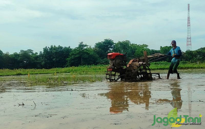 uploads/news/2025/06/sektor-pertanian-jaga-ekonomi-40266a7126cc582_400.jpg