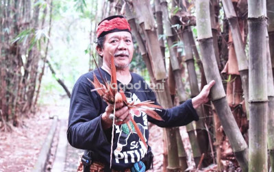 uploads/news/2025/08/manfaat-menanam-bambu-bagi-2318386abfec881_400.jpg