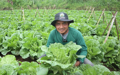 uploads/news/2025/09/hasil-panen-cukup-untuk-380565605b8d50d_400.jpg