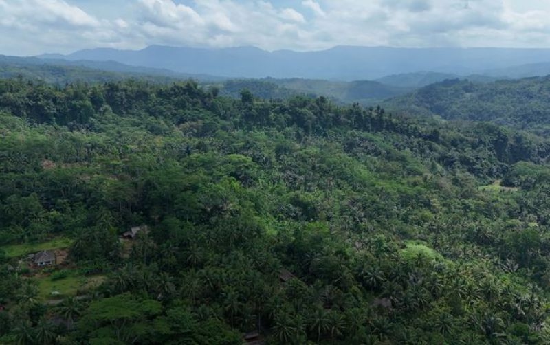 uploads/news/2025/09/hutan-adat-leuweung-gede-75526839645884b.jpg