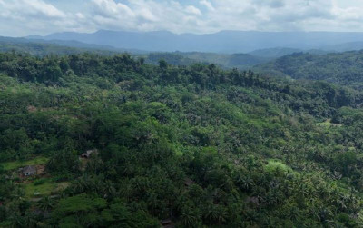 uploads/news/2025/09/hutan-adat-leuweung-gede-75526839645884b_400.jpg