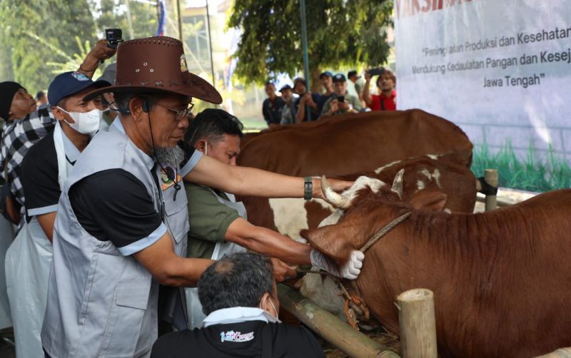 uploads/news/2025/09/jateng-menjadi-pemasok-protein-25380e878b5a1a0.jpg