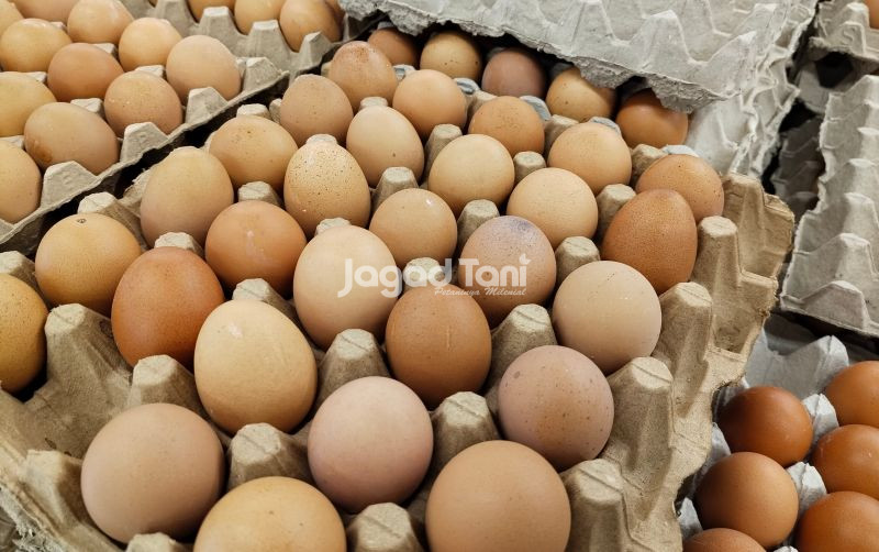uploads/news/2025/10/harga-telur-di-sejumlah-907642183883396.jpg