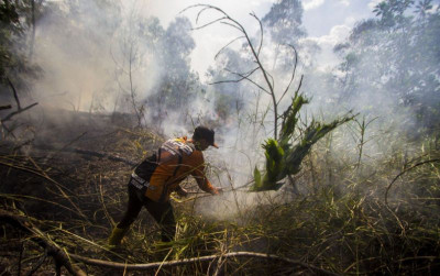 uploads/news/2025/10/jumlah-kebakaran-hutan-dan-592333f369fb77d_400.jpg
