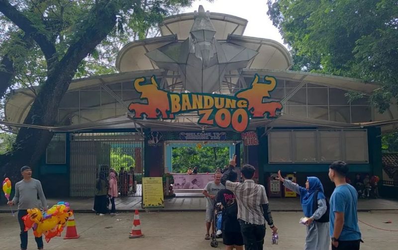 uploads/news/2025/10/kebun-binatang-di-bandung-539702451a259c3.jpeg