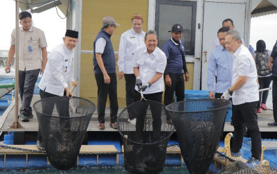 uploads/news/2025/11/budidaya-ikan-laut-kepualauan-83635d224ed73dd_400.jpg