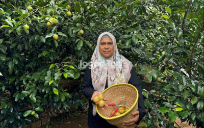 uploads/news/2025/11/cerita-wanita-tani-kampung-28774ead0927b40_400.jpeg