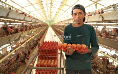 uploads/news/2025/11/harga-telur-ayam-ras-250341b57af0593_400.jpg