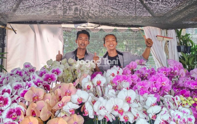 uploads/news/2025/11/kebun-anggrek-di-tawangmangu-2105170cfb7bd63.jpg