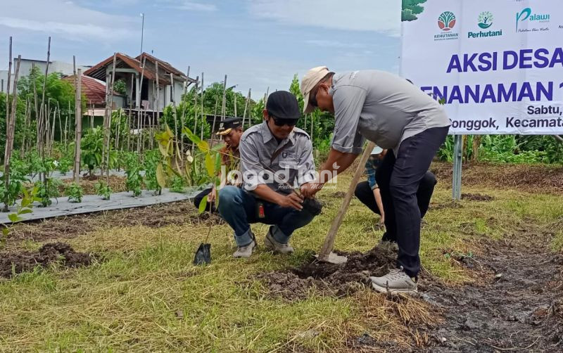 uploads/news/2025/11/mitigasi-perubahan-iklim-melalui-371247f112a564f.jpg