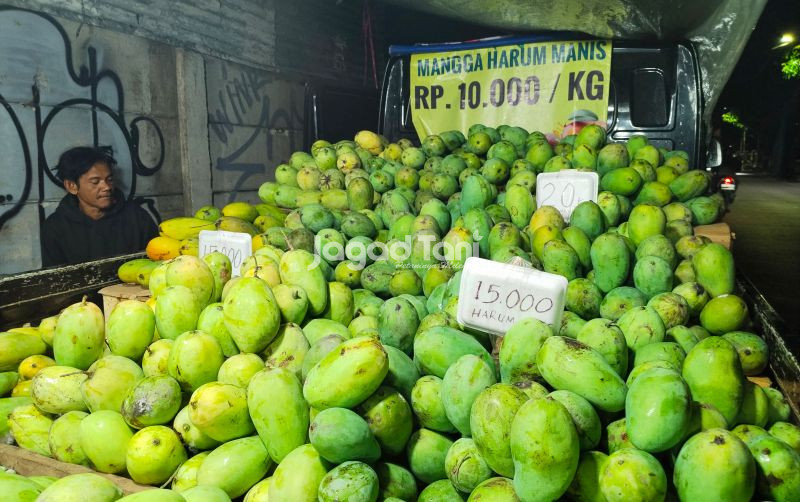 uploads/news/2025/11/panen-raya-harga-mangga-8684139bd128ba5.jpg