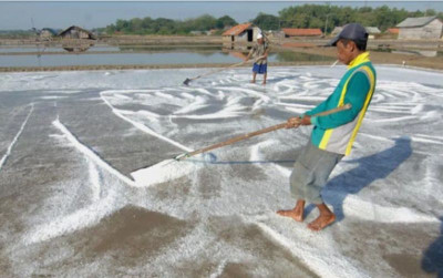 uploads/news/2025/12/10-kecamatan-penghasil-garam-86459a3be63ab79_400.png