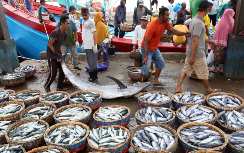 uploads/news/2025/12/5-ikan-bakar-lezat-139302c700a4f5c.png