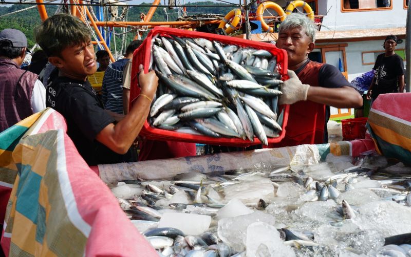 uploads/news/2025/12/ekspor-perikanan-maluku-melonjak-8137408a715b4ea.jpg