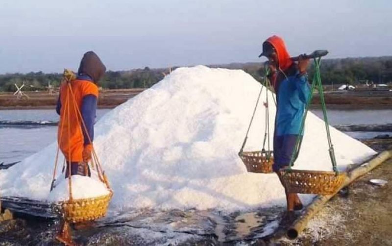 uploads/news/2025/12/garam-sumenep-identitas-dan-119975114f3ac82.jpg