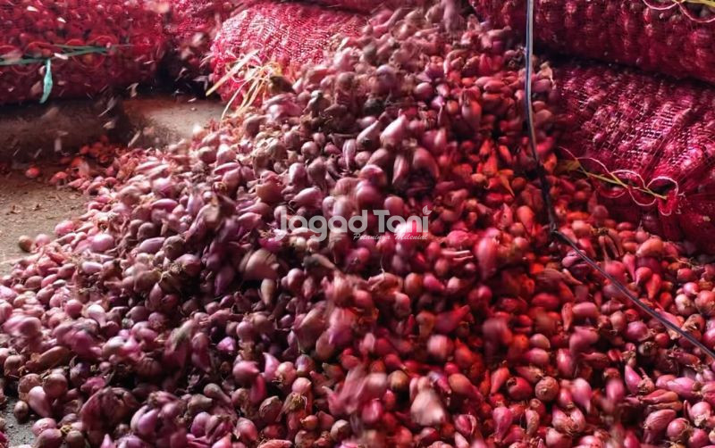 uploads/news/2025/12/harga-bawang-merah-di-352428c7118ae9c.jpeg